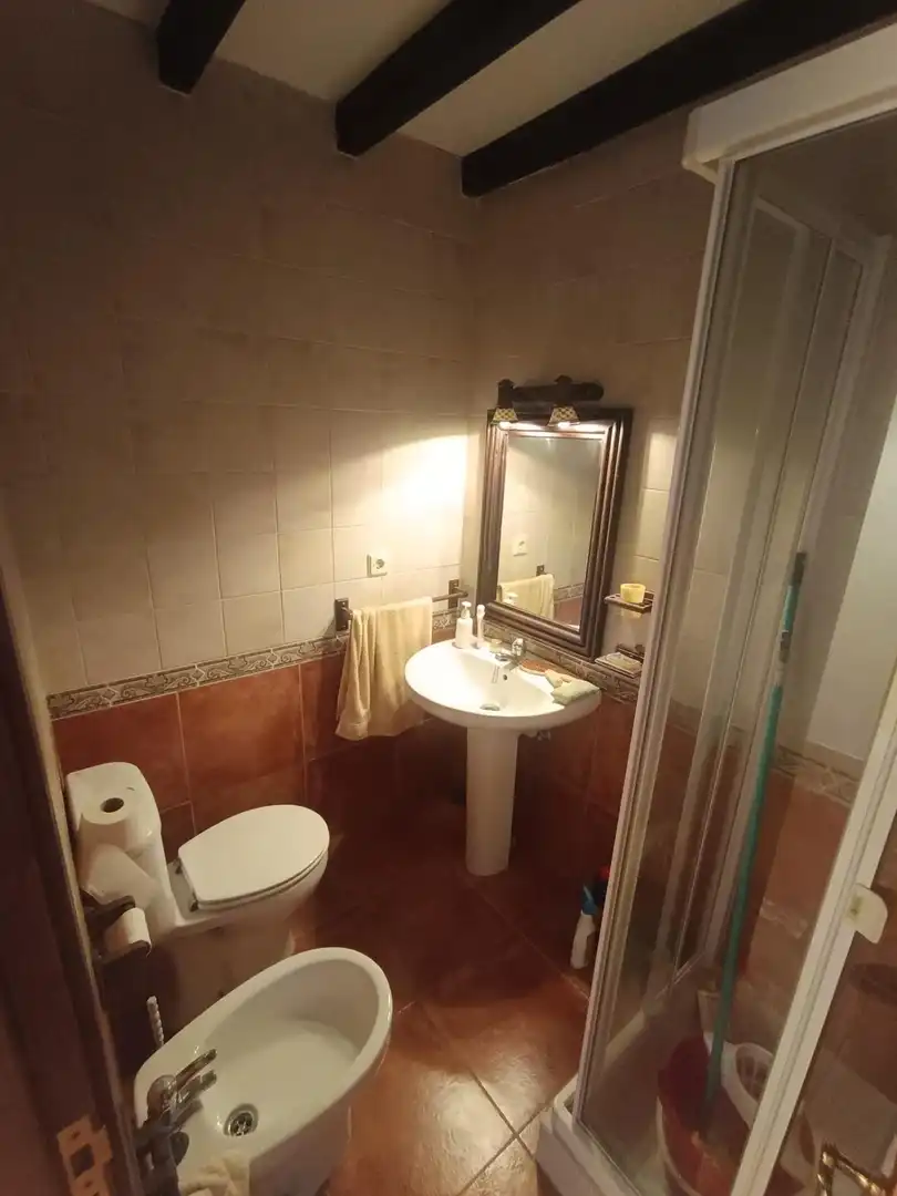 Bathroom of Commercial properties for sale in Artziniega