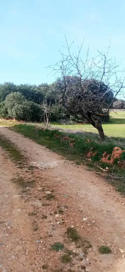 Finca rústica en venda en Serón de Nágima