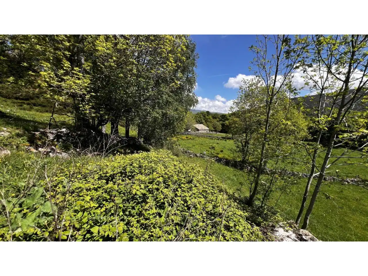 Casa o xalet en venda en Espinosa de los Monteros amb Jardí privat i Terrassa