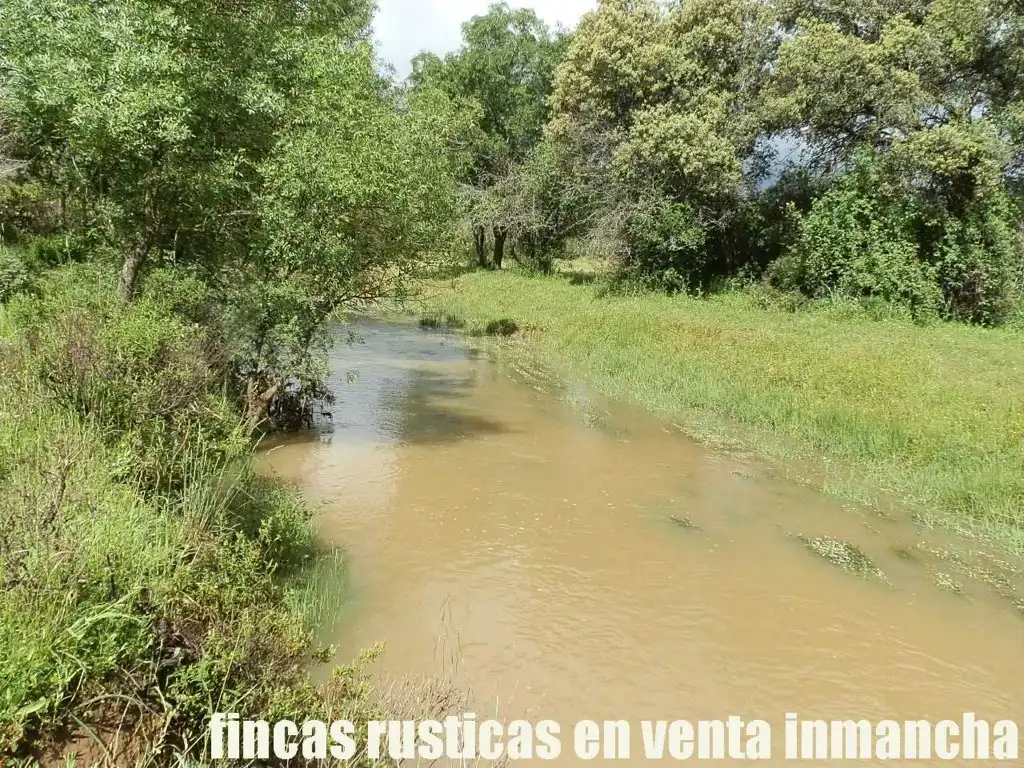 Terreno rústico en venta en Abenójar, imagen 19