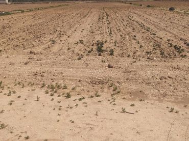 Terreno residencial en venta en Calle Pelayo 26