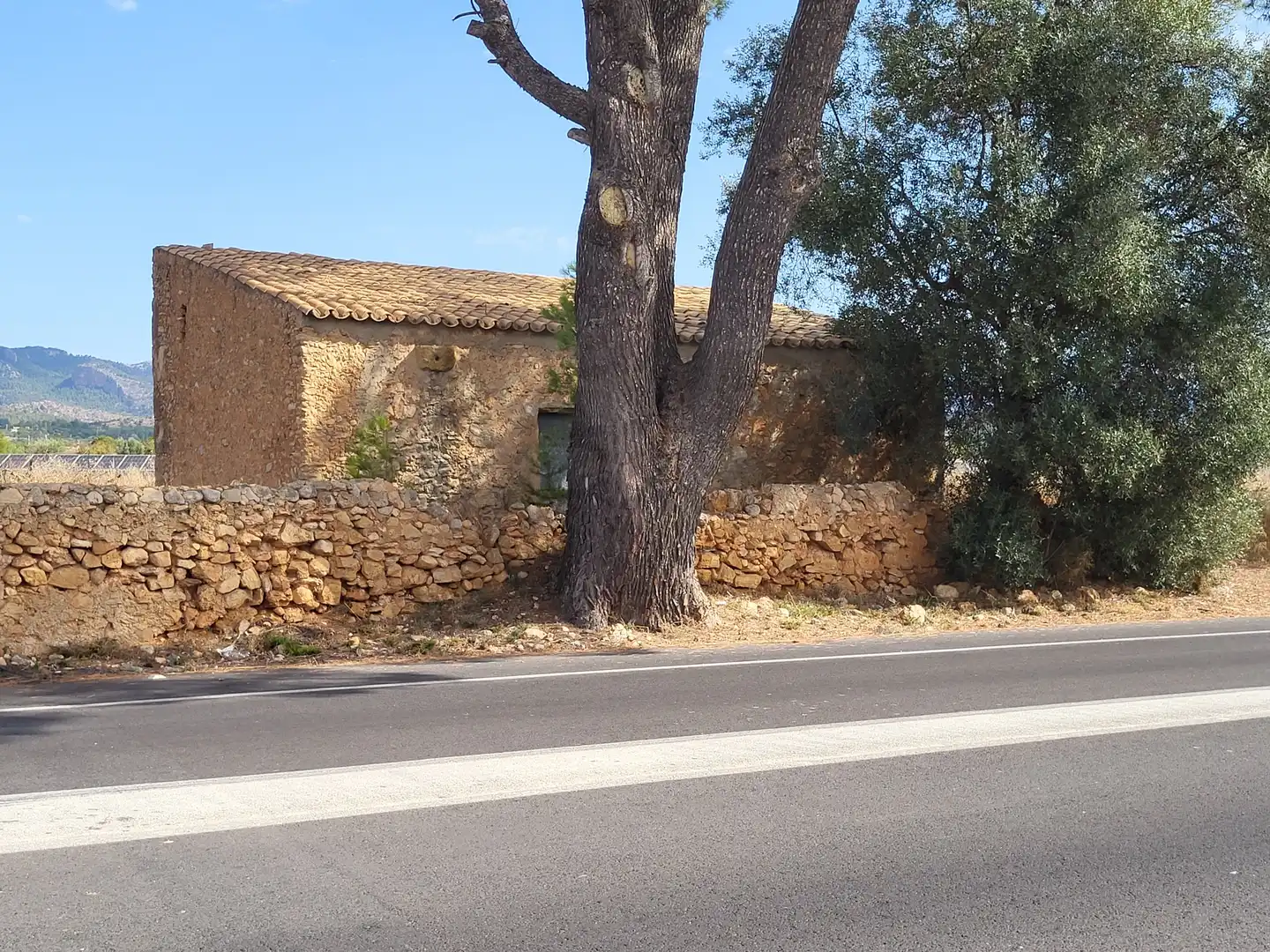 Terrain rustique à vendre à Polígono 2 Parcela 1, imagen 13
