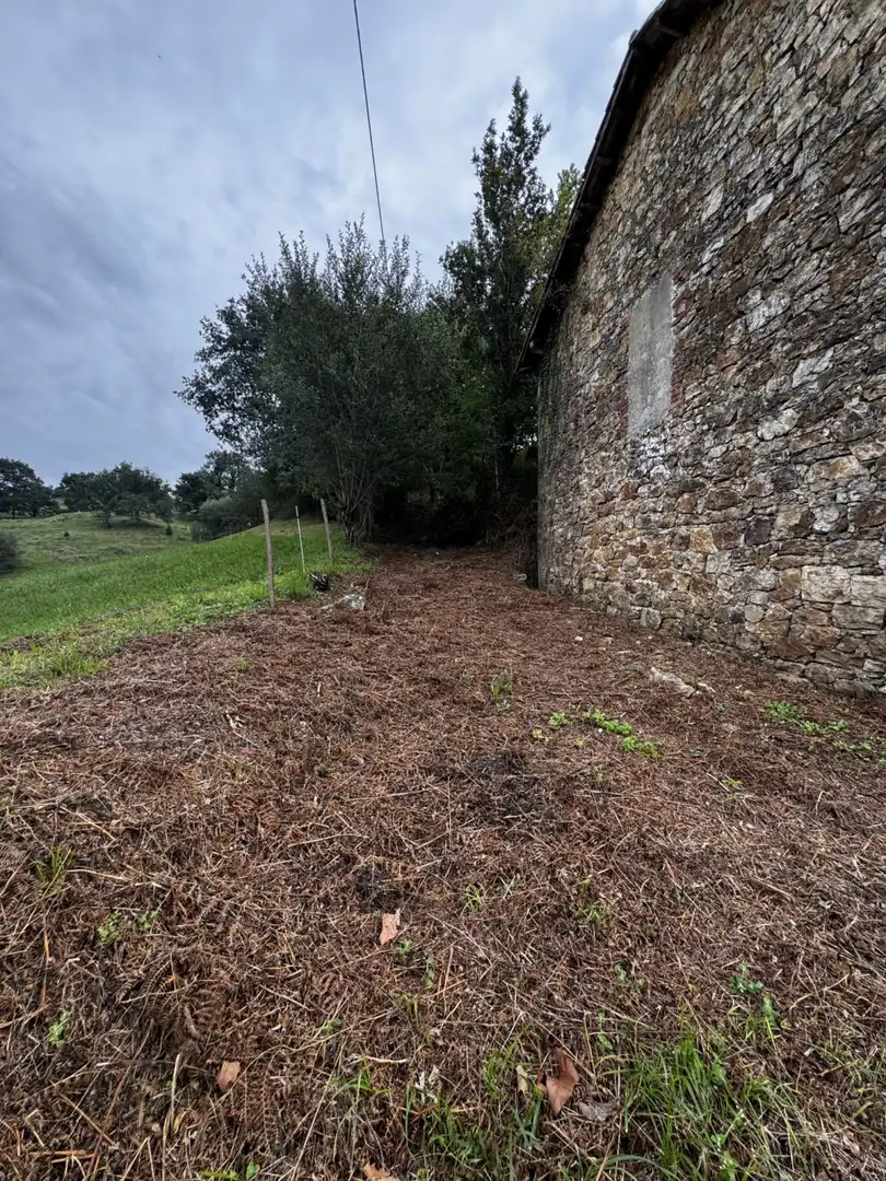 Casa o chalet en venta en Riotuerto