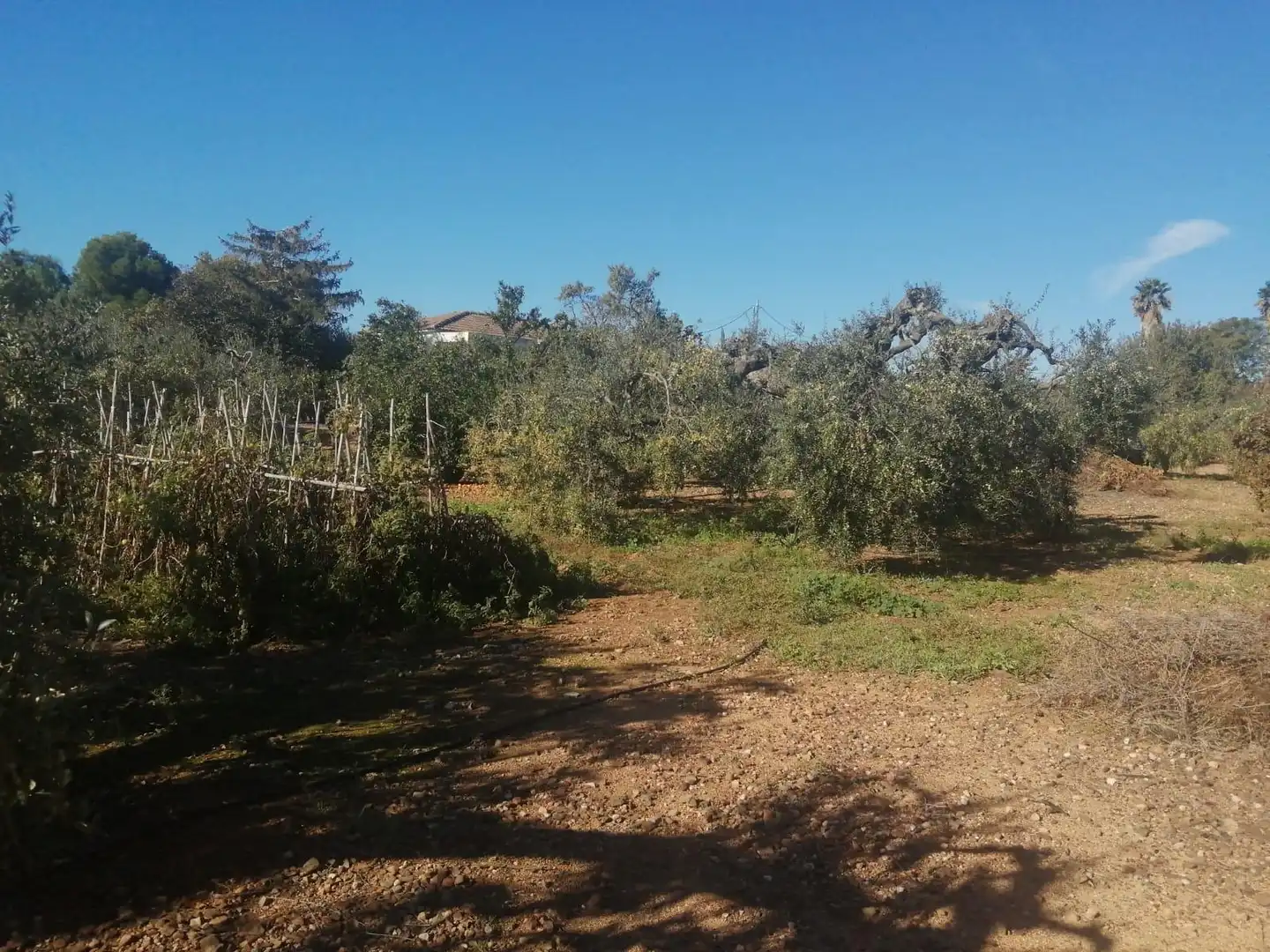 Villa in vendita a Riudoms, imagen 36