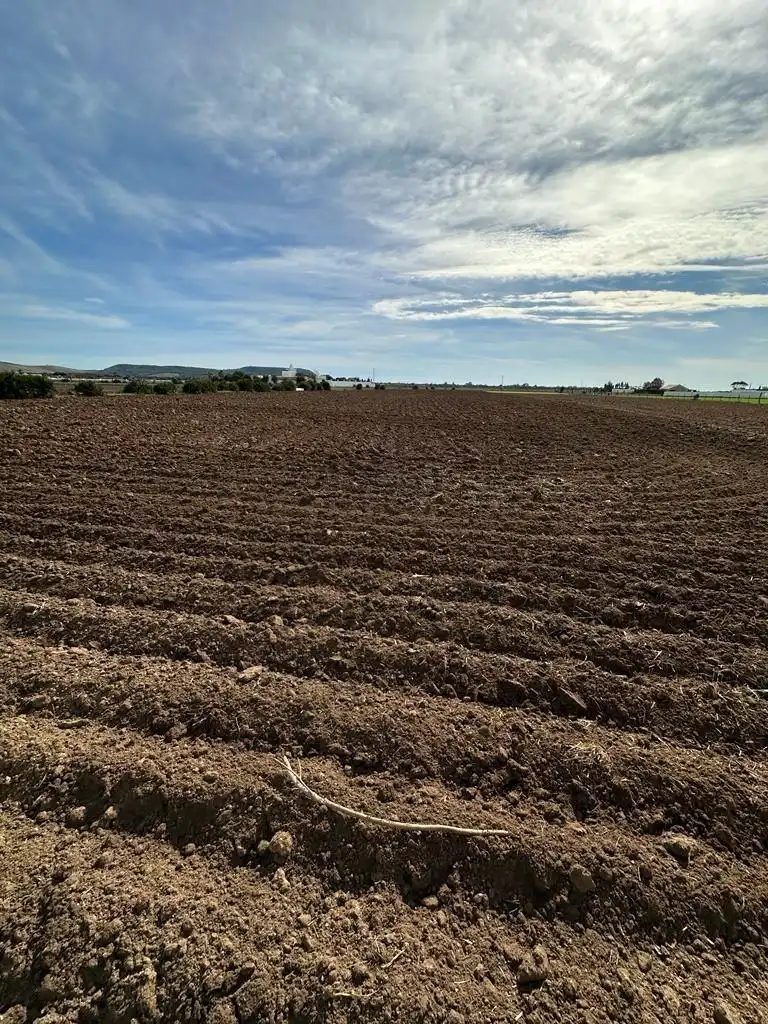 Terreni e lotti in vendita a El Palmar, imagen 10