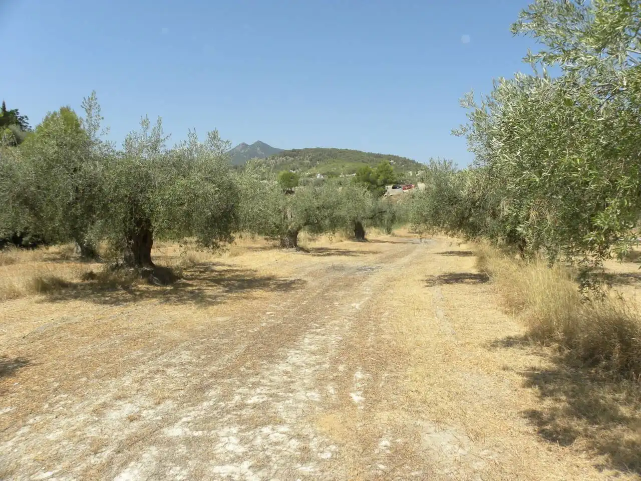 Terreno rustico in vendita a Camino Picardias, imagen 5