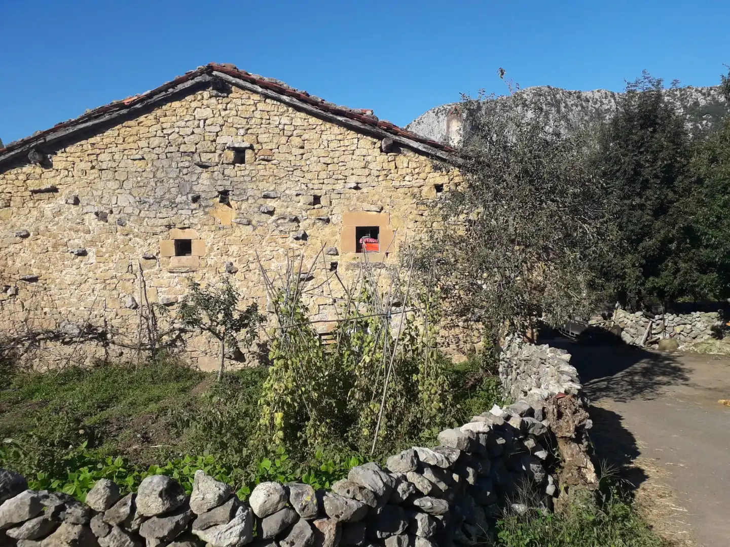 Vista exterior de Casa o xalet en venda en Rionansa