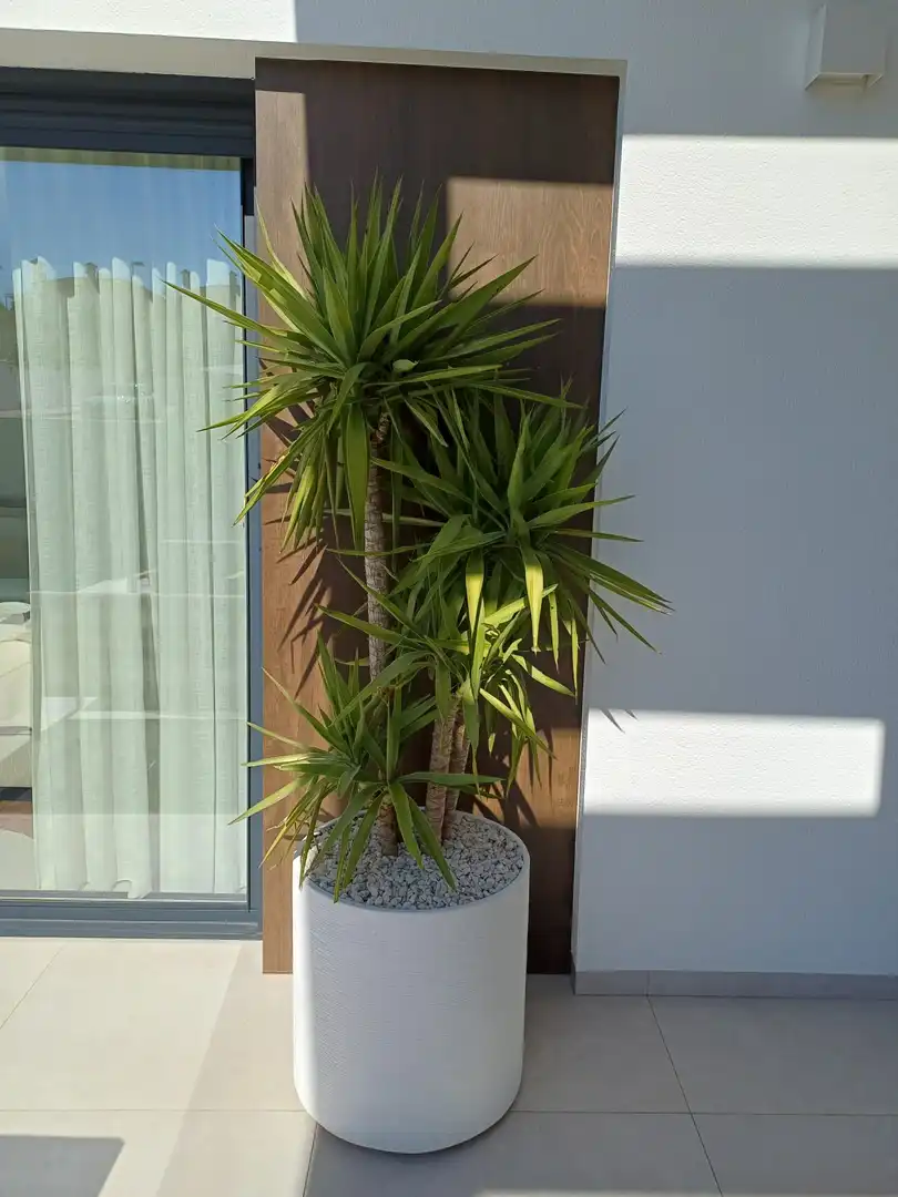 Casa en venta en Puerto de la Torre - Atabal, imagen 50
