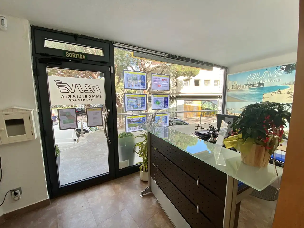 Lands and plots for sale in Olot, imagen 6