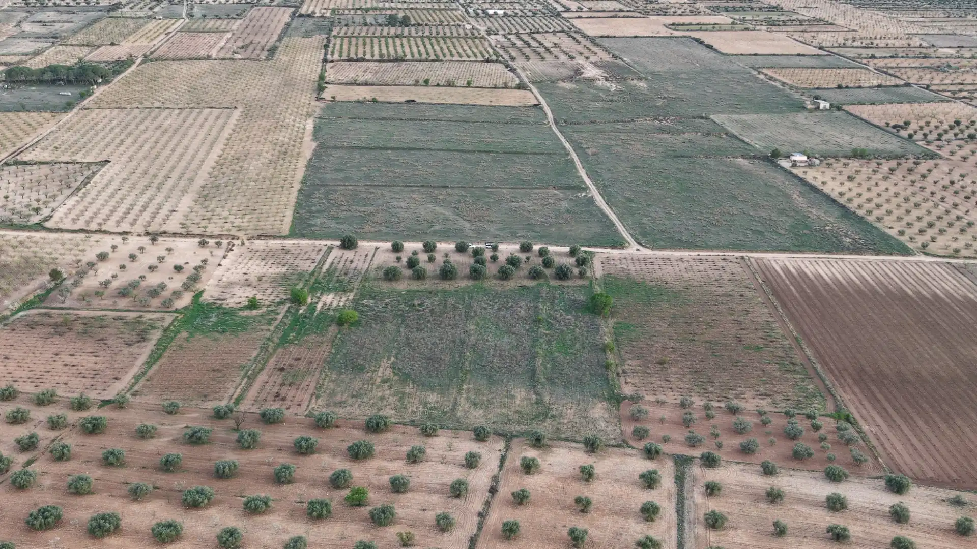 Terreny residencial en venda a Jumilla, imagen 10