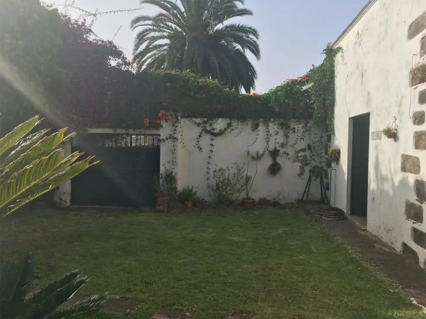 Garden of Houses for sale in Tacoronte - Los Naranjeros