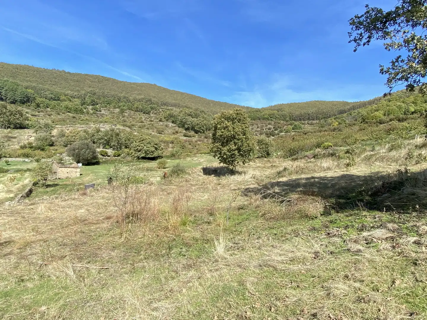 Terreni e lotti in vendita a Barrado, imagen 15