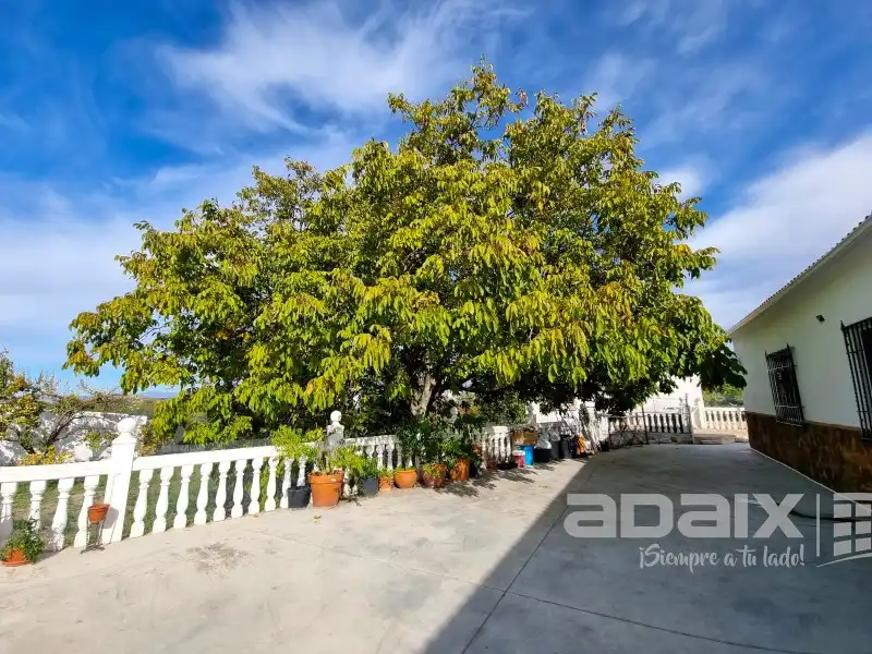 Finca rústica en venta en Poleares