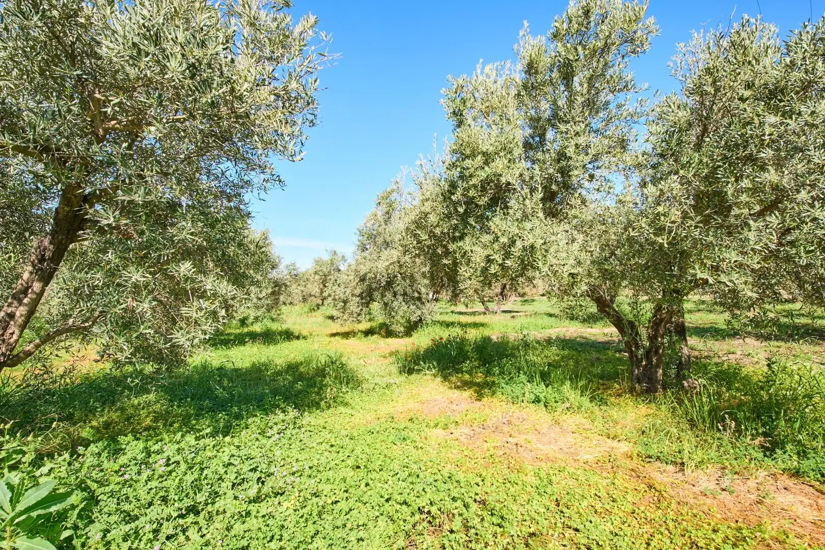Casa rústica amb jardí en venda a Camino de la Vegueta, imagen 48