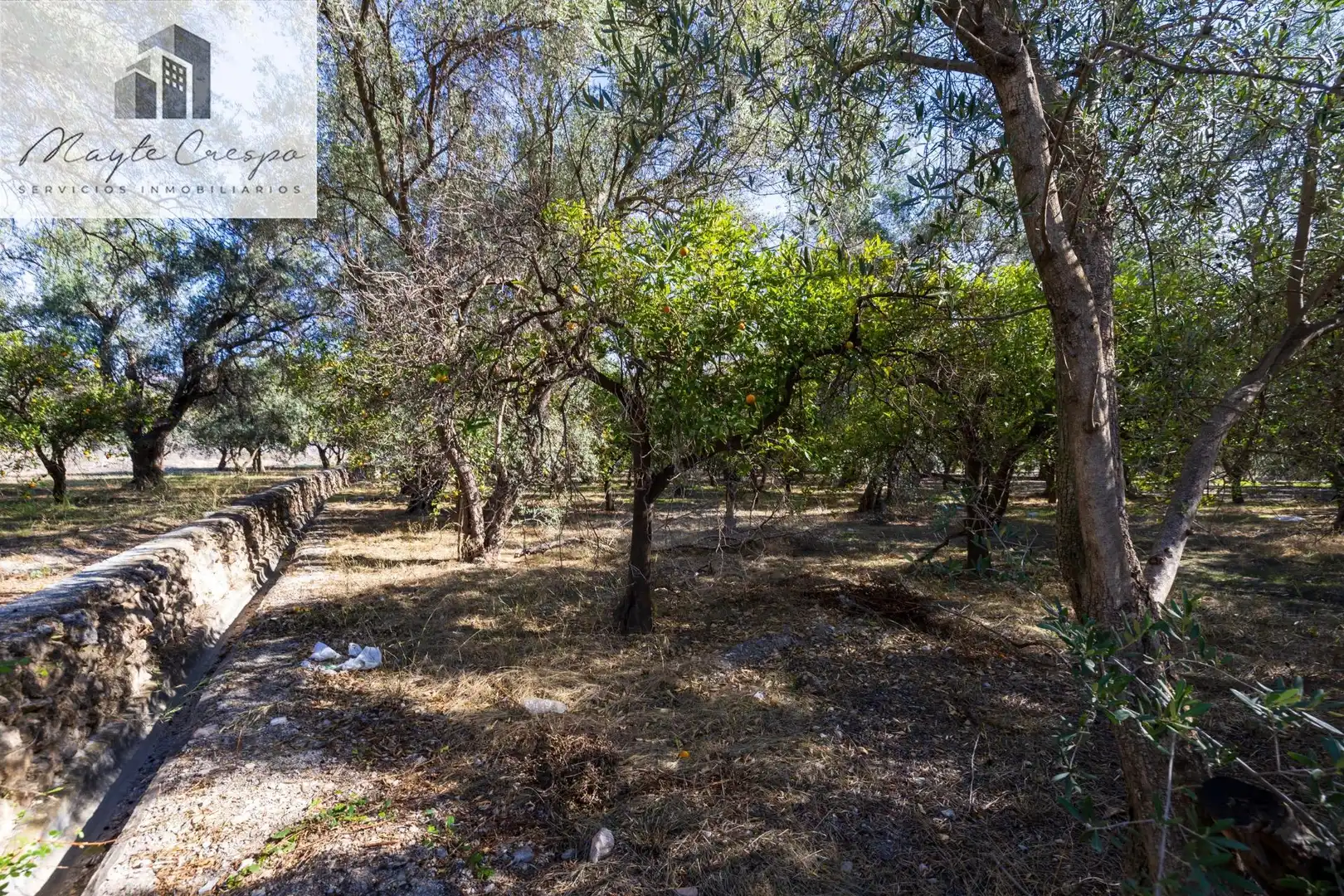Terreno rustico in vendita a Lecrín, imagen 8