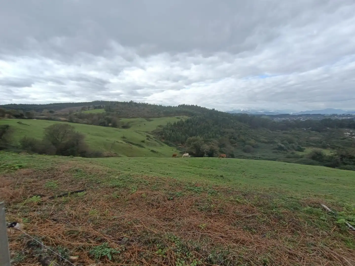 Terreny rústic en venda a Ruiloba, imagen 4