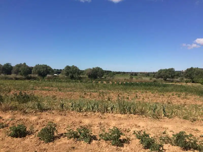 Country homes for sale in El Tancat - Mas d'en Gual