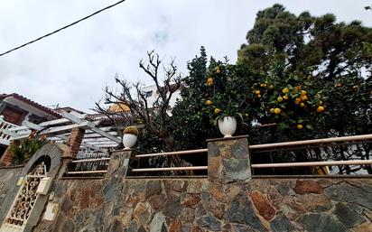 Vista exterior de Finca rústica de lloguer en Vega de San Mateo amb Aire condicionat, Calefacció i Jardí privat
