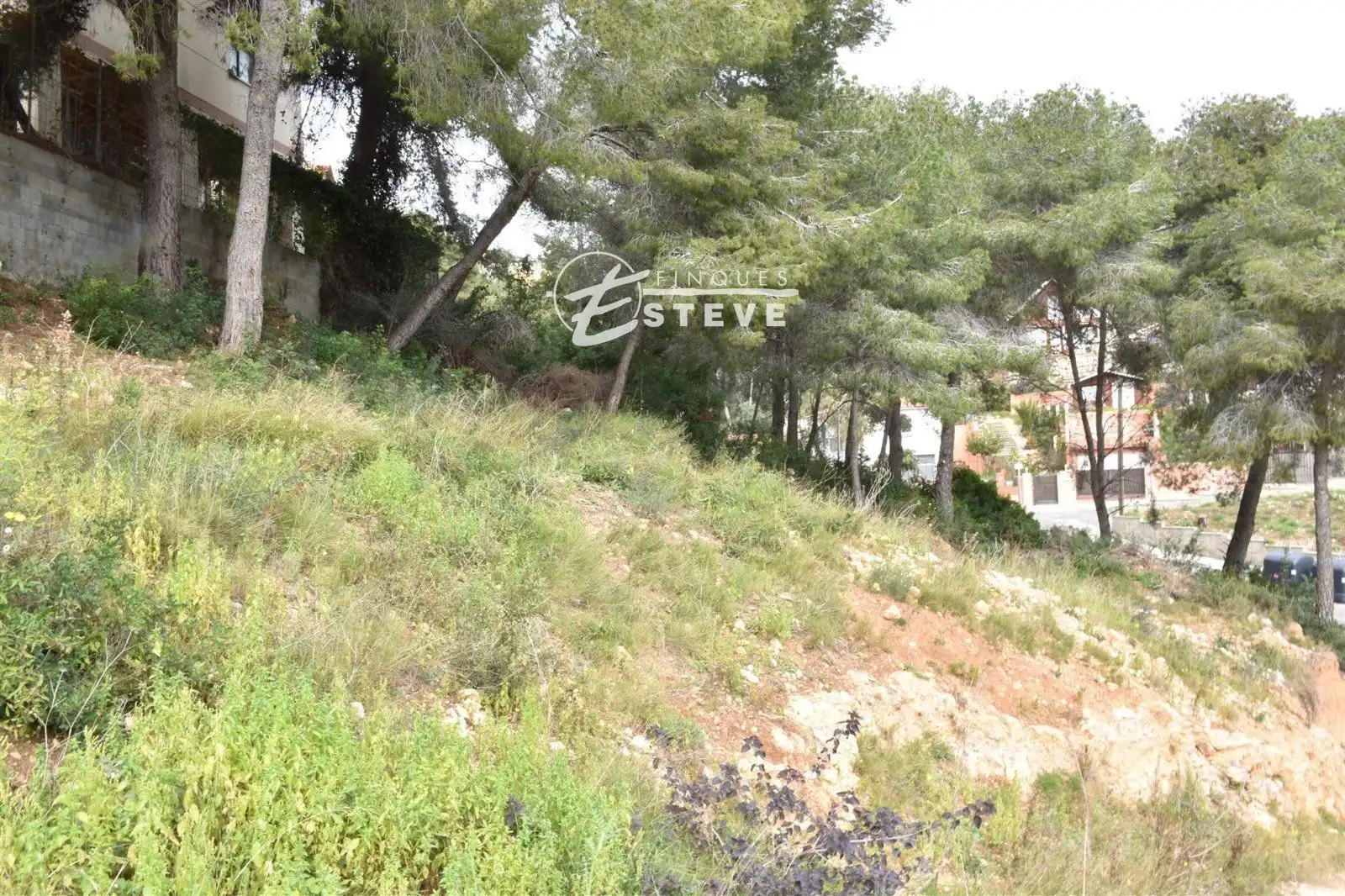 Rural land for sale in GLADIOL, imagen 3