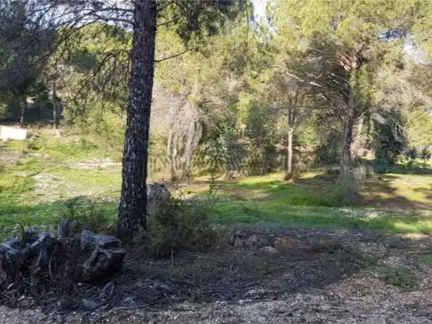 Terrenys i solars en venda a LA TROMPETA PARCELA 123, imagen 4