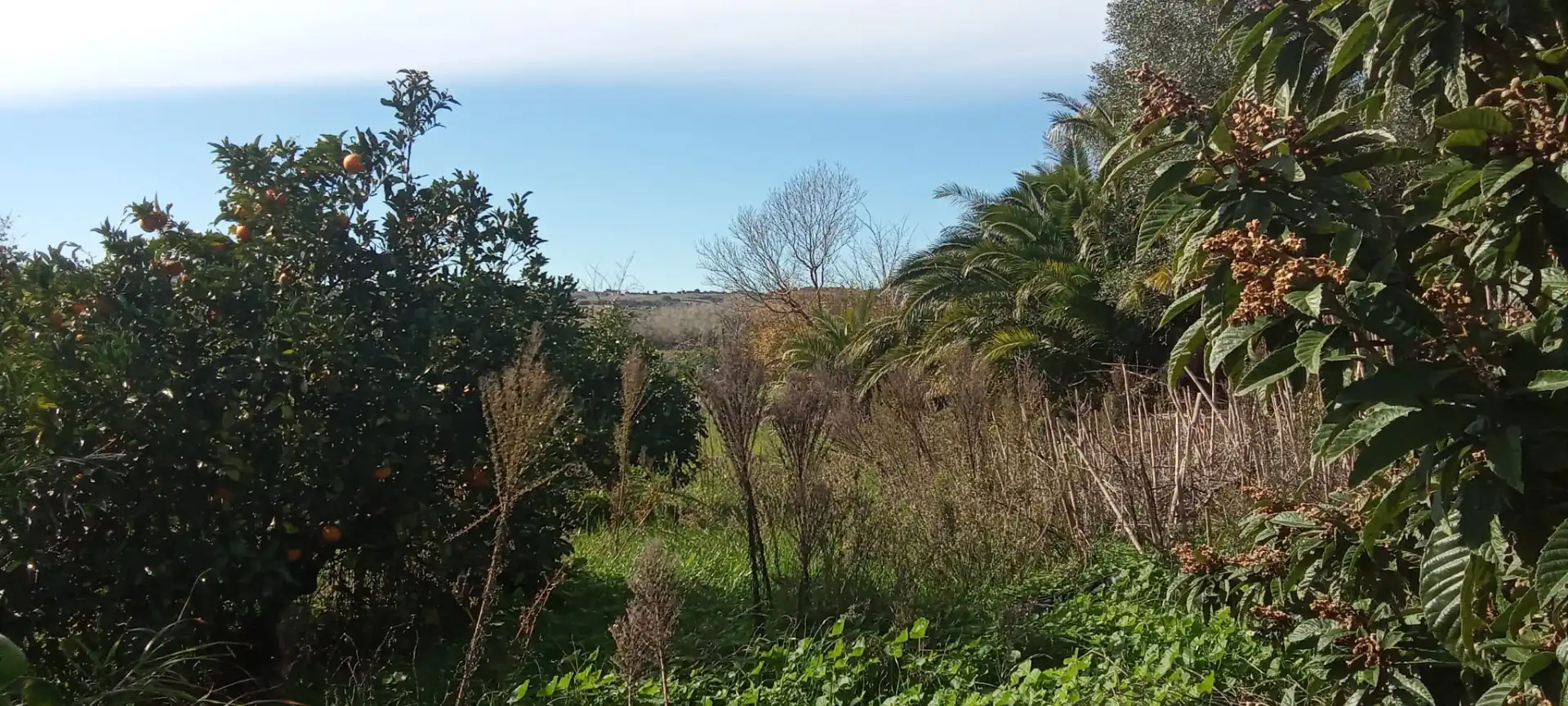 Casa rústica en venda a Vejer, imagen 31