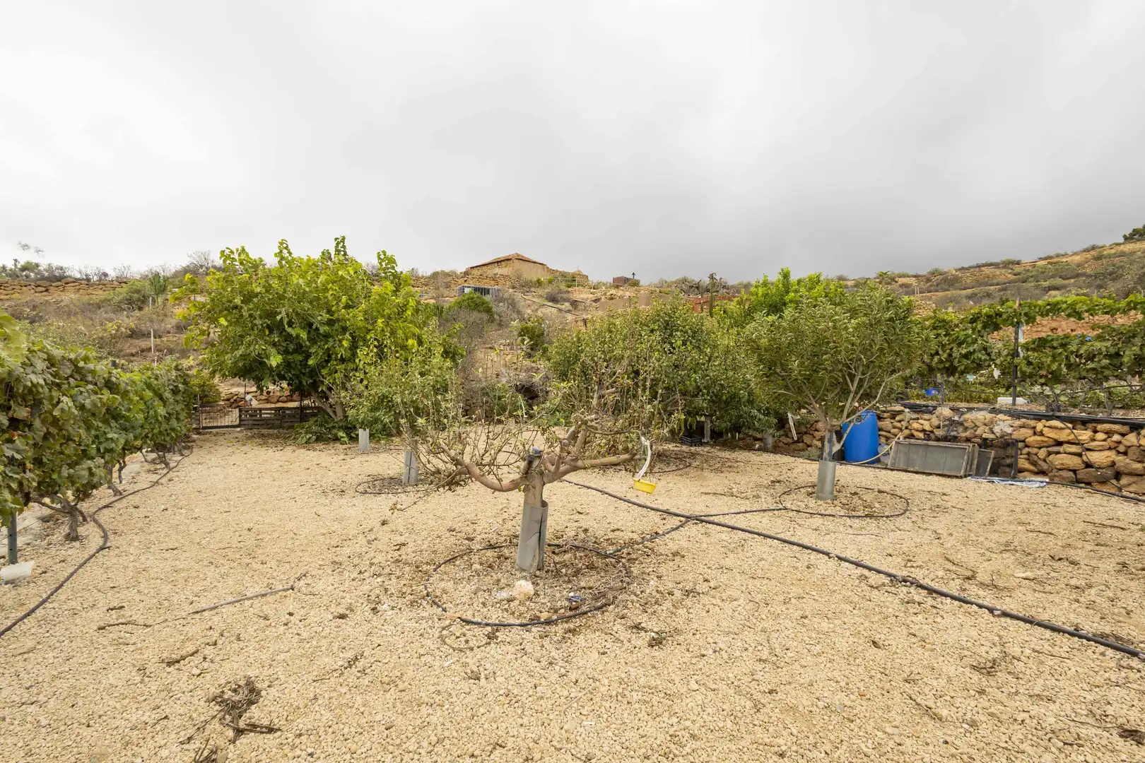 Terreno rustico in vendita a Calle San Bartolomé, imagen 24