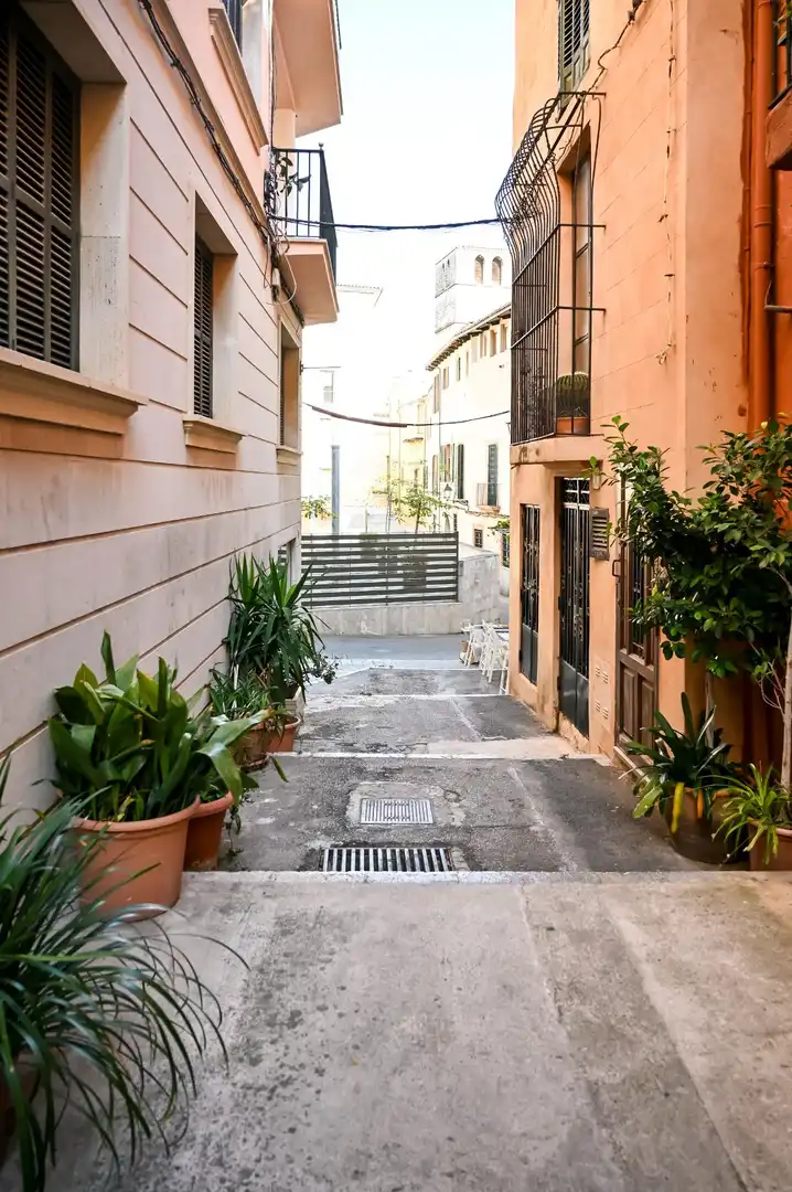 Vista exterior de Planta baja en venta en  Palma de Mallorca