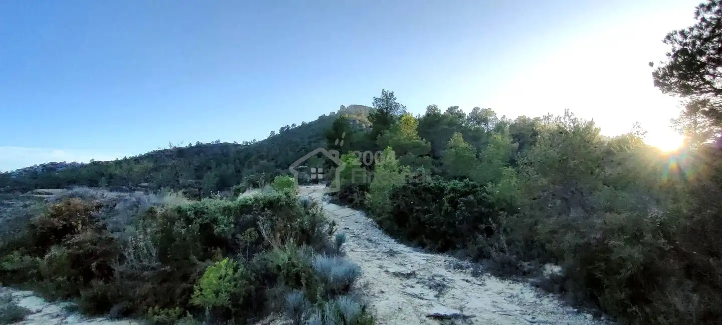 Terreny rústic en venda a Les Urques, imagen 6
