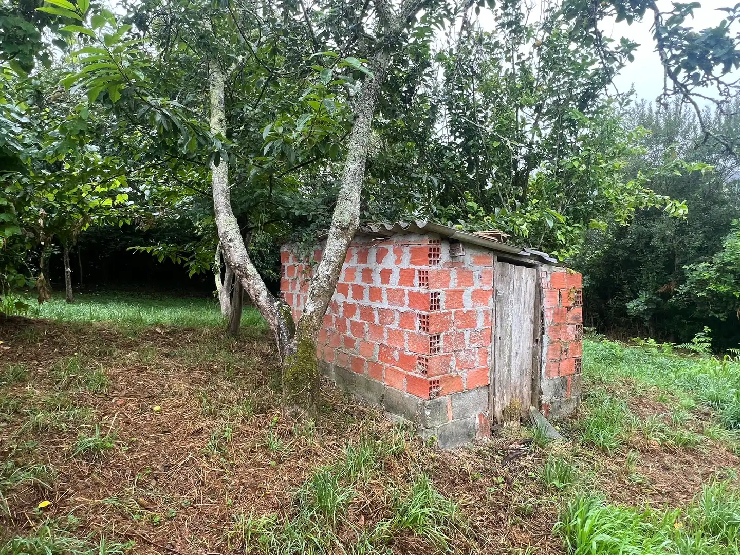 House with garden for sale in San Sadurniño, imagen 10
