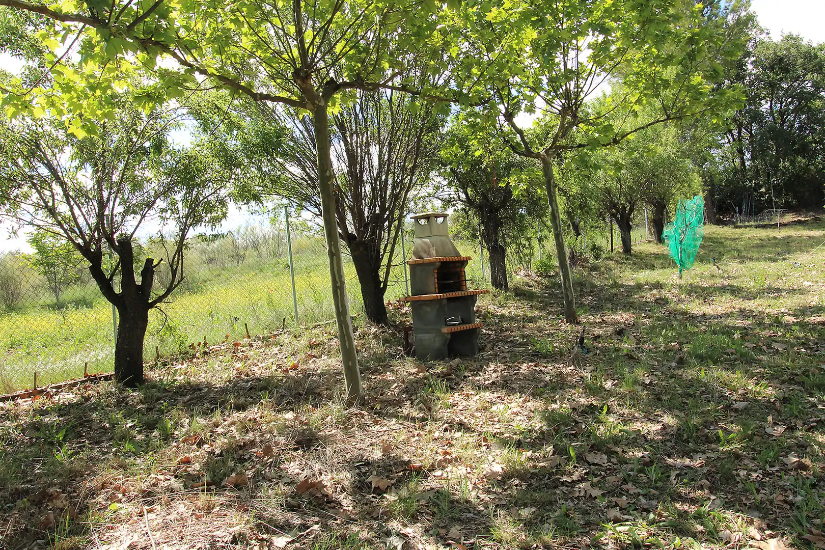Garden of Land for sale in Torrelaguna