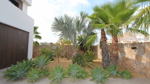 Foto 5 de Casa o chalet en venta en Centro, Rojales