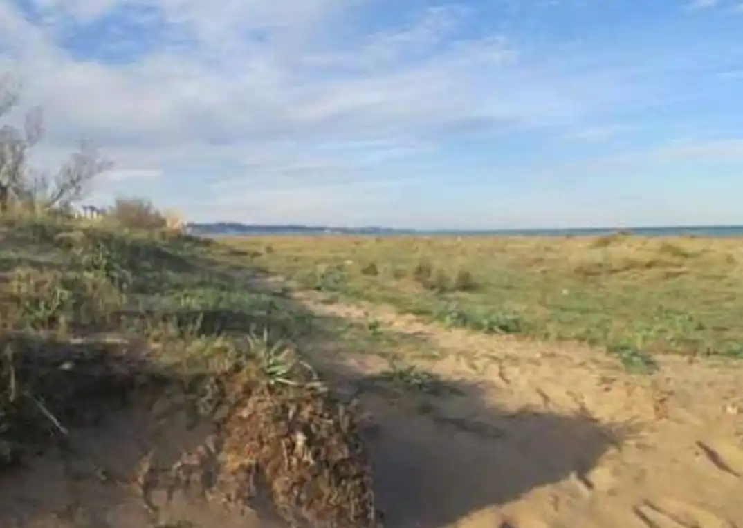 Rural land for sale in Partida del Portitxol 18