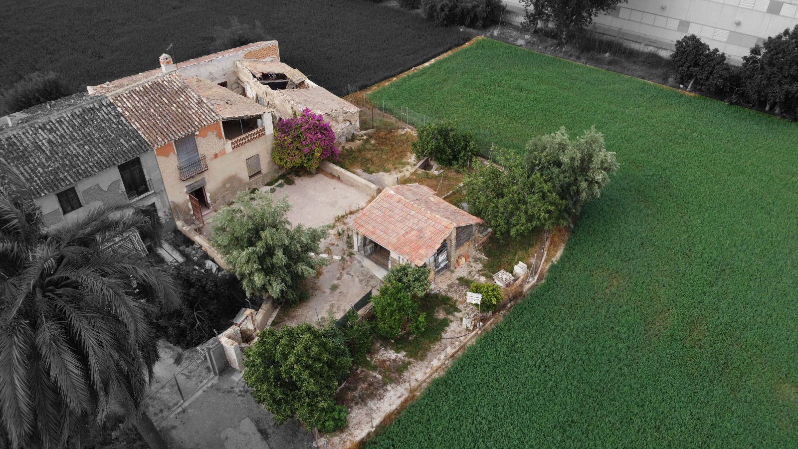Finca rústica en venda en  Murcia Capital