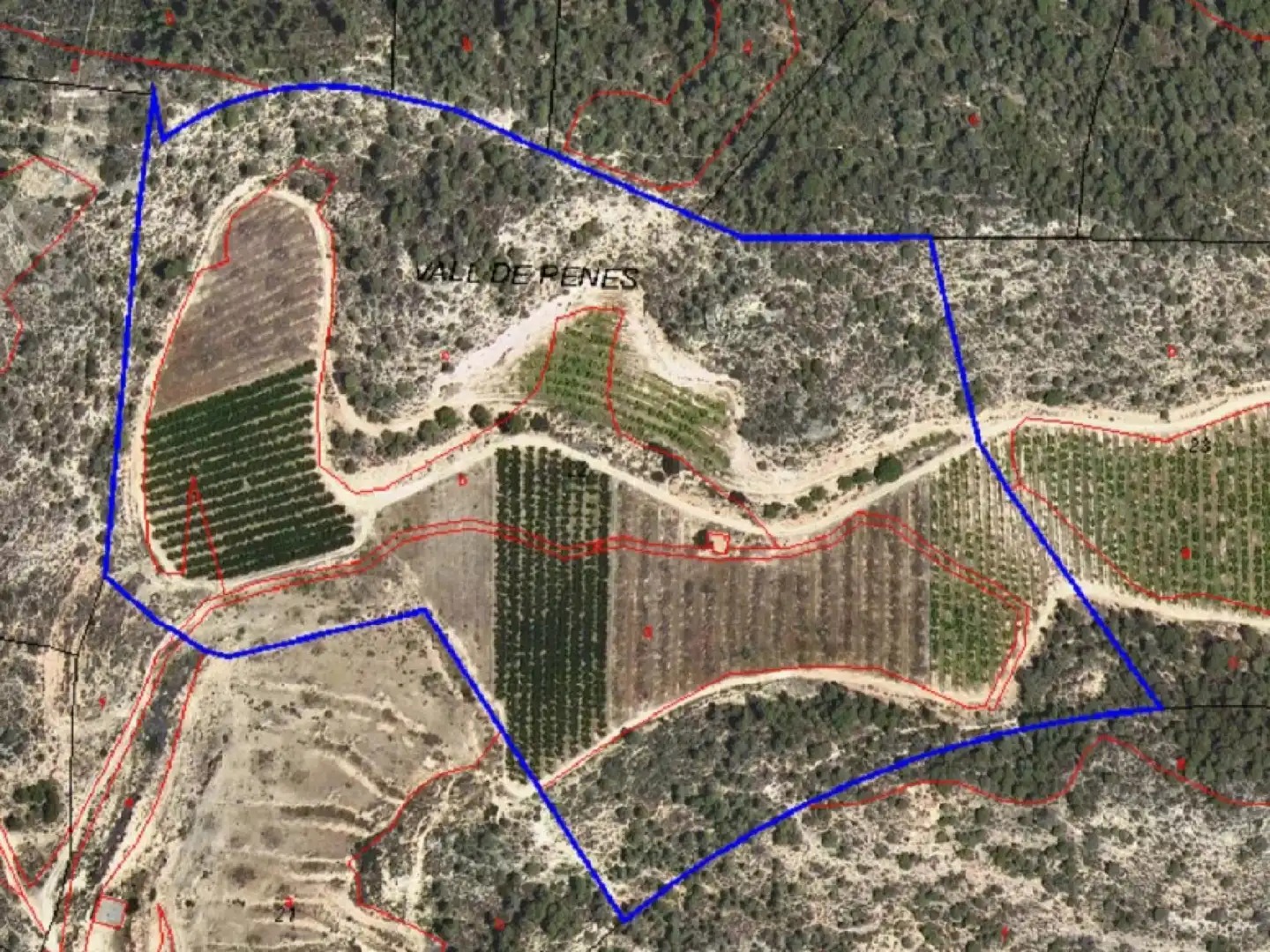 Terrain rustique à vendre à Riba-roja d'Ebre, imagen 11