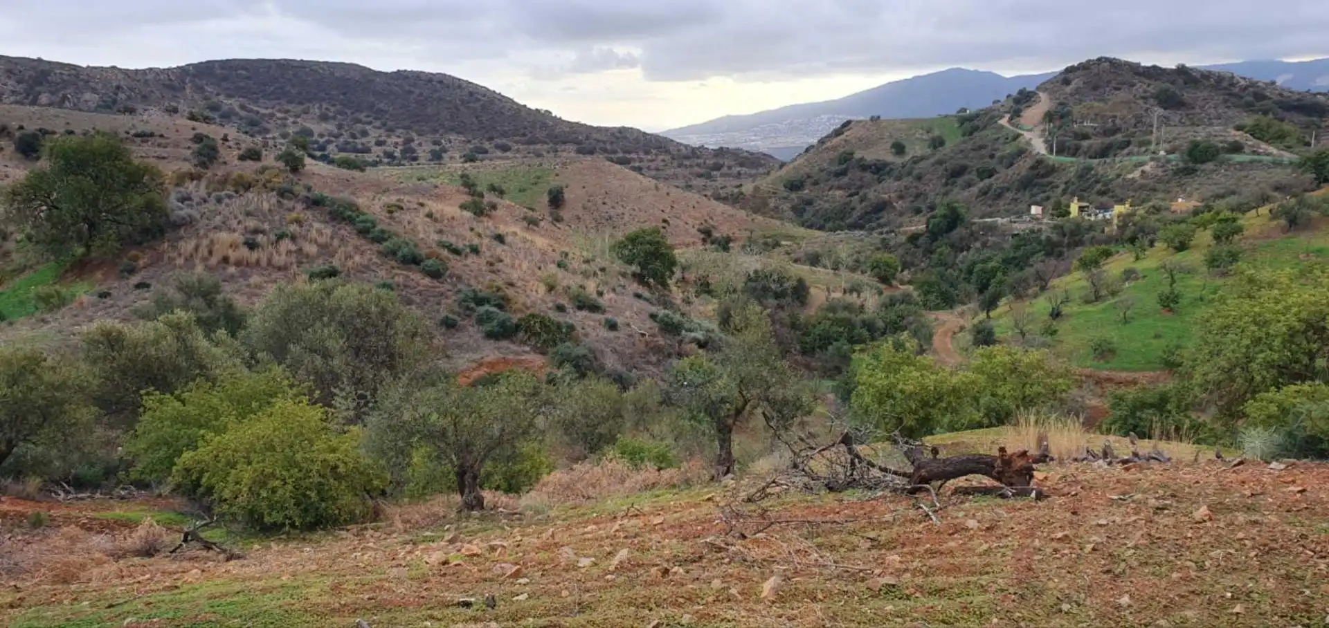 Terreni e lotti in vendita a Cártama pueblo, imagen 24