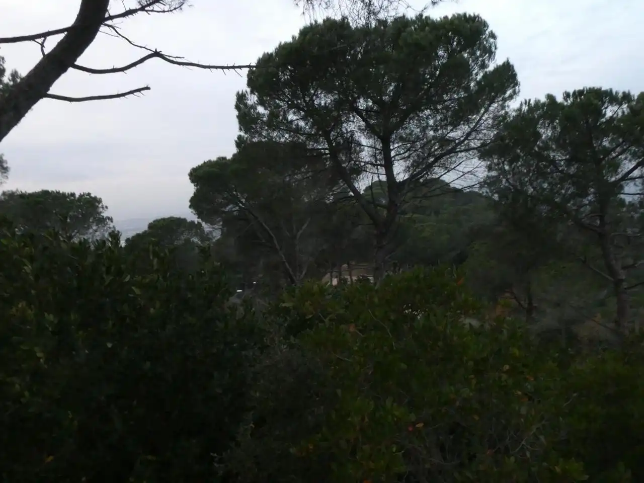 Terrenos y solares en venta en Vilanova del Vallès, imagen 5