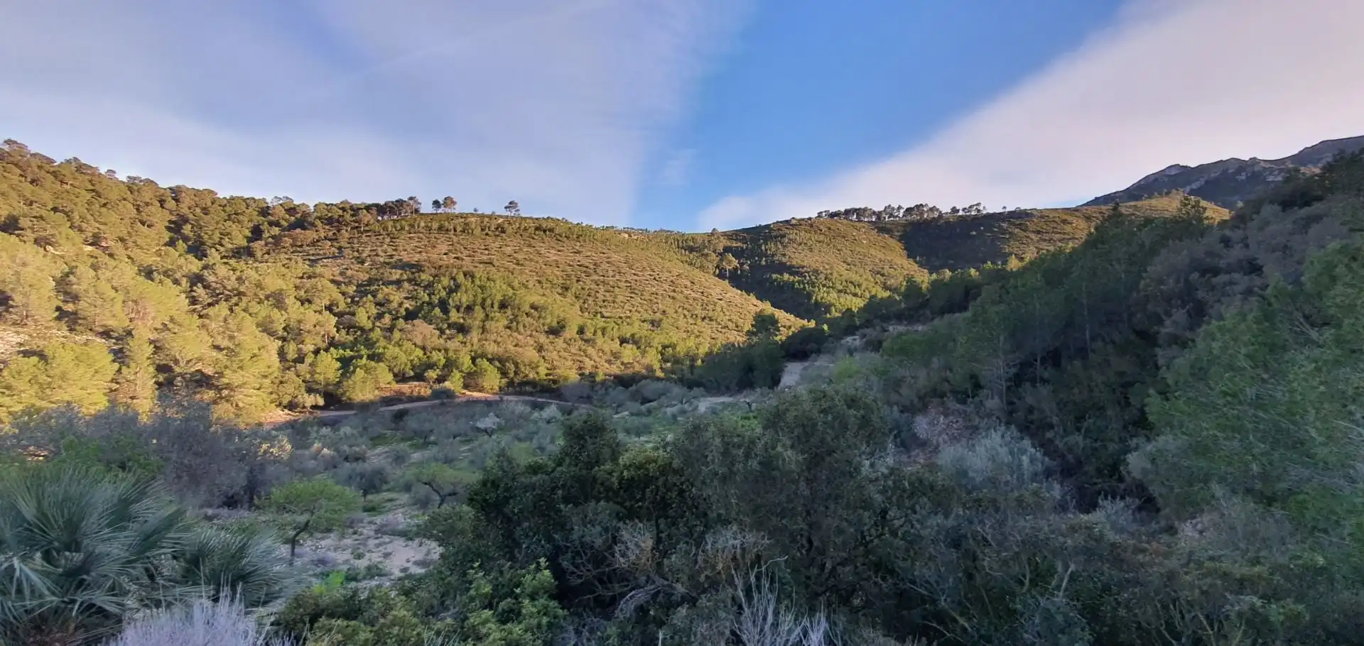 Casa o chalet en venta en Rasquera
