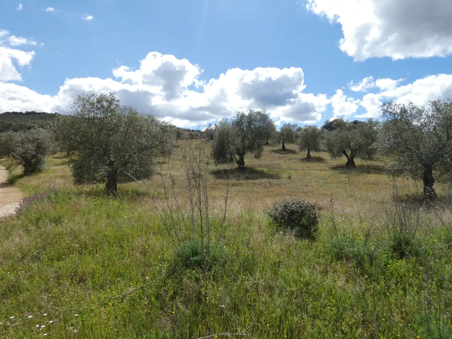 Houses for sale in Malcocinado