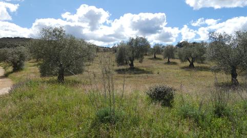 Foto 3 de Casa o xalet en venda a Malcocinado, Badajoz
