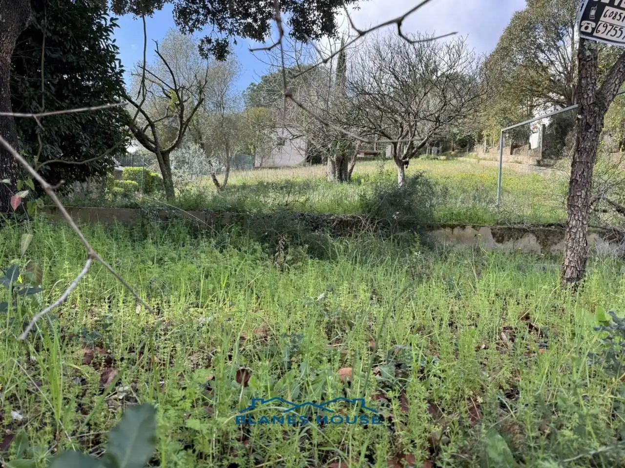 House with garden for sale in Calle Arbres 0´, imagen 3