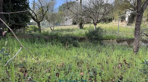 Foto 3 de Casa o chalet en venta en Arbres, 0´, Residencial Park, Maçanet de la Selva