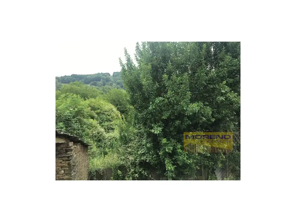 House for sale in Triacastela, imagen 11