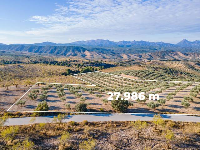 Terreno en Venta en Jayena