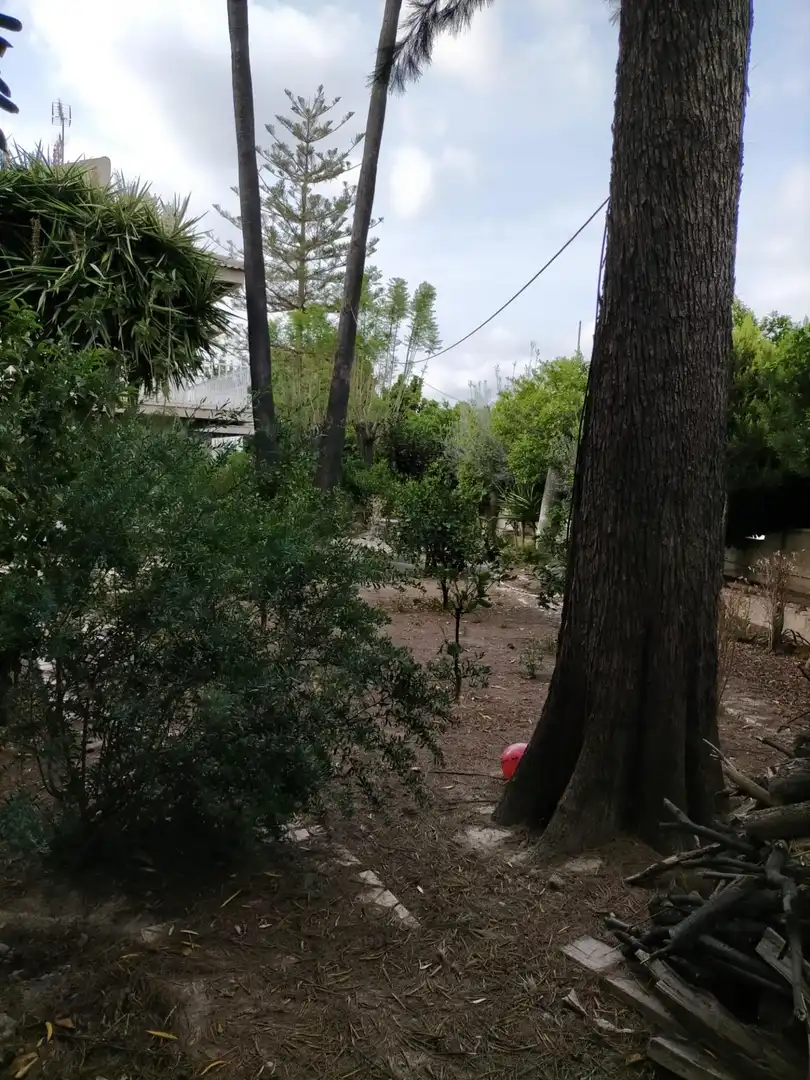 Casa amb jardí en venda a GARCÍA ROGEL, imagen 8