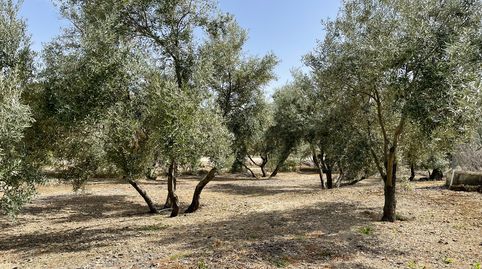 SE VENDE PARCELA RÚSTICA EN CARRETERA HUERTAÑALDA, imatge 2