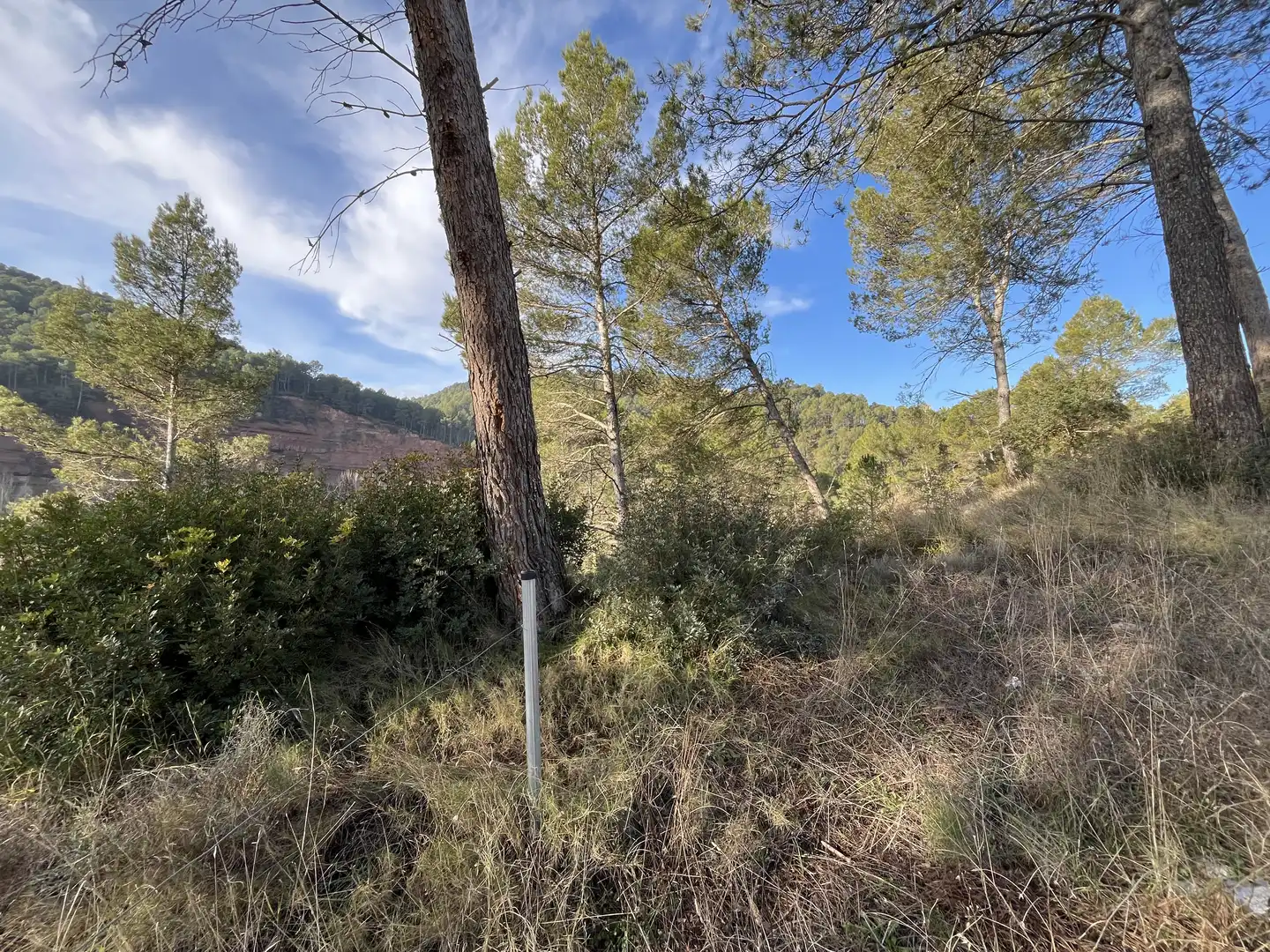 Wohnbaugrundstück zum Verkauf in del Panta 2, imagen 17