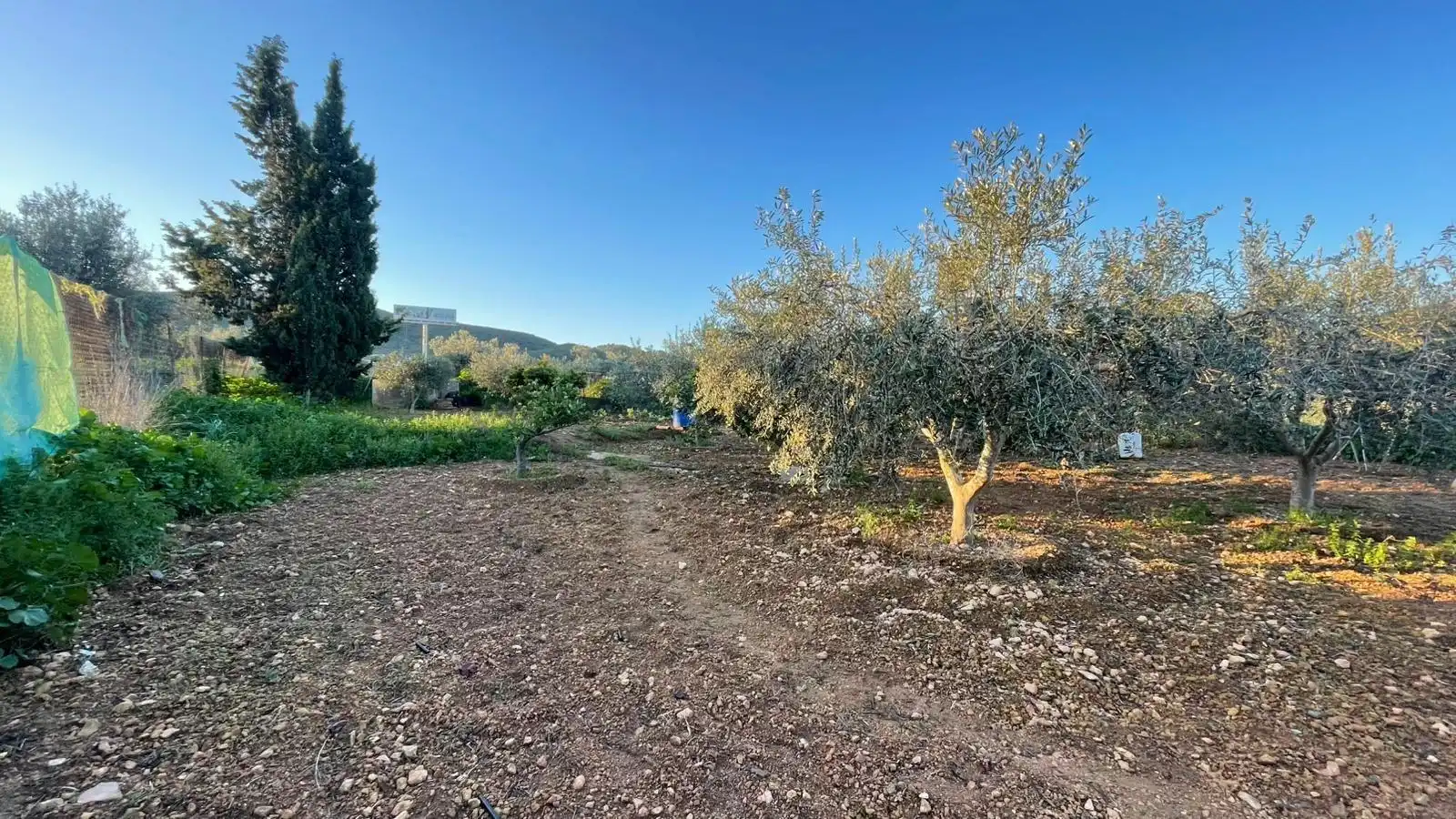 Casa rústica en venta en La Pinilla - Las Palas, imagen 35