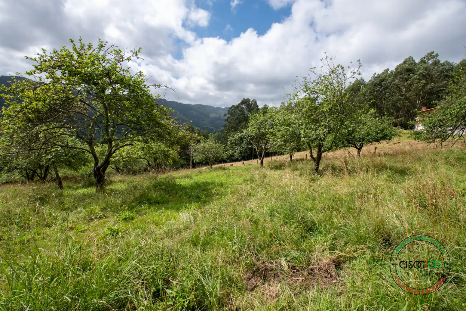 Casa o xalet en venda en Villaviciosa amb Jardí privat i Traster