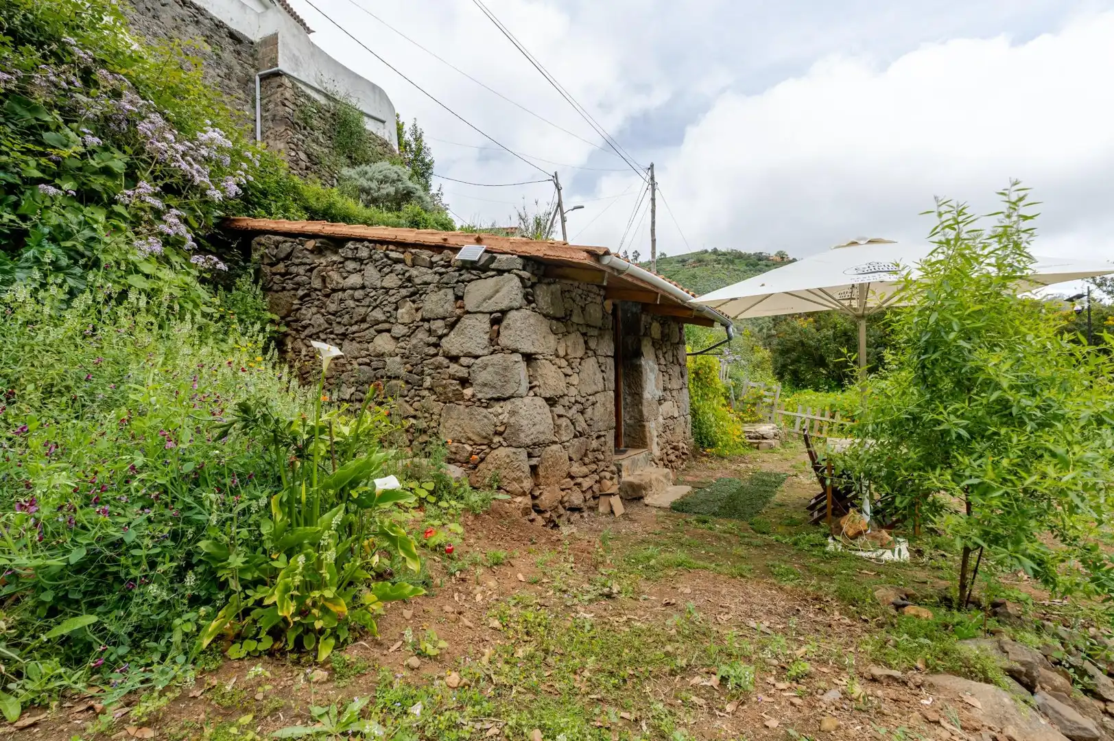 Exterior view of Land for sale in Teror