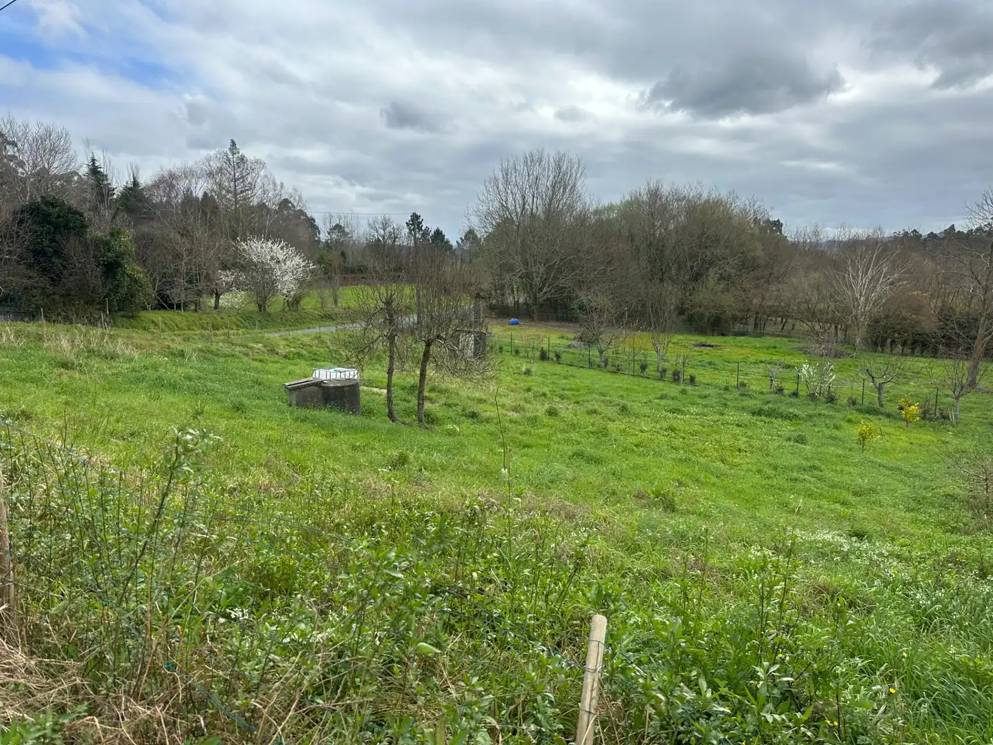 Terreni e lotti in vendita a Lugar Brans de Abaixo, imagen 11